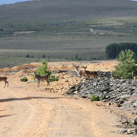 بيت ضيافة Casa Aurea Boya